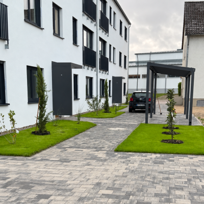 Außenanlage vor einem Wohngebäude mit grauen Pflasterwegen, eingefassten Rasenflächen und jungen Bäumen.